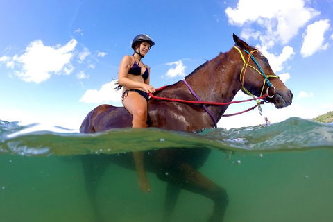 Horse Swimming Ride From Rainbow Beach - Lightning Ridge Tourism 1