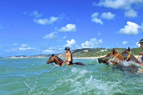 Horse Swimming Ride From Rainbow Beach - Lightning Ridge Tourism 0