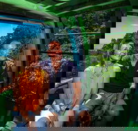 Skyrail Rainforest Cableway Day Trip from Palm Cove - Lightning Ridge Tourism