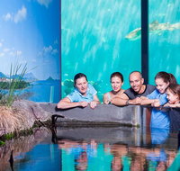 Reef HQ Great Barrier Reef Aquarium General Entry Ticket - Lightning Ridge Tourism