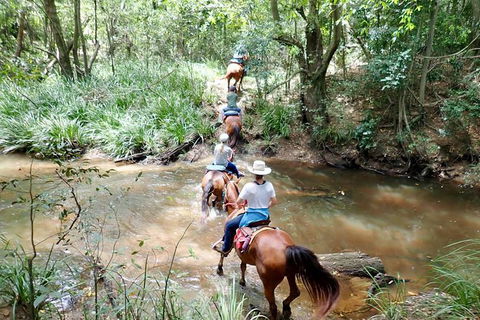 Country Day Ride From Mt Goomboorian With Rainbow Beach Horse Rides - Lightning Ridge Tourism 1