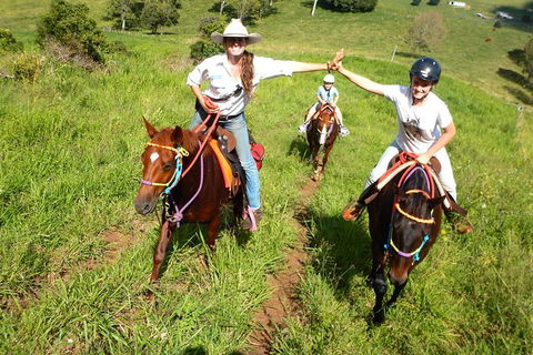 Country Day Ride From Mt Goomboorian With Rainbow Beach Horse Rides - Lightning Ridge Tourism 0