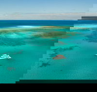 Great Barrier Reef Dive and Snorkel Cruise from Mission Beach - Lightning Ridge Tourism