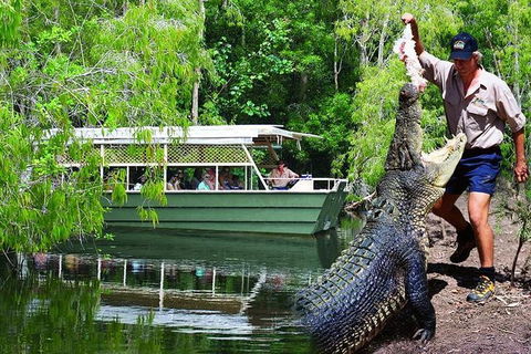 Crocs, Creatures And Culture Ex Northern Beaches - Lightning Ridge Tourism 1