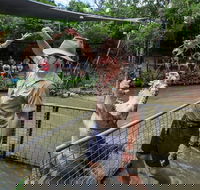 Hartley's Crocodile Adventures Day Trip from Cairns - Lightning Ridge Tourism