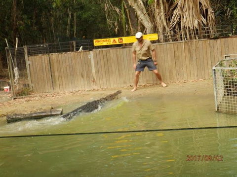 Hartley's Crocodile Adventures Day Trip From Cairns - Lightning Ridge Tourism 8