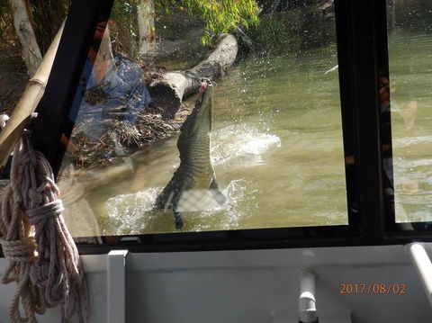 Hartley's Crocodile Adventures Day Trip From Cairns - Lightning Ridge Tourism 5