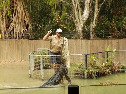 Hartley's Crocodile Adventures Day Trip From Cairns - Lightning Ridge Tourism 2