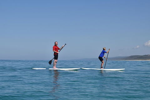 Stand Up Paddle Double Island Lesson - Lightning Ridge Tourism 1
