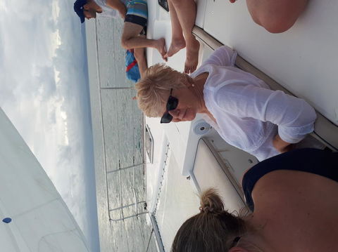Afternoon Low Isles Snorkeling And Sailing Cruise From Port Douglas - Lightning Ridge Tourism 5