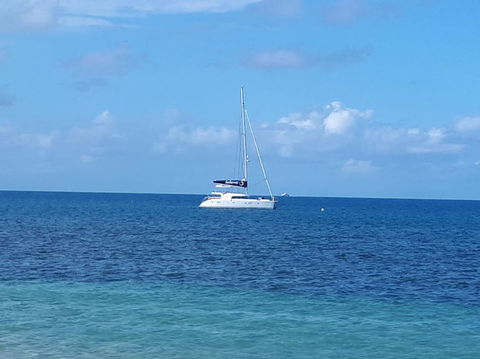 Afternoon Low Isles Snorkeling And Sailing Cruise From Port Douglas - Lightning Ridge Tourism 7