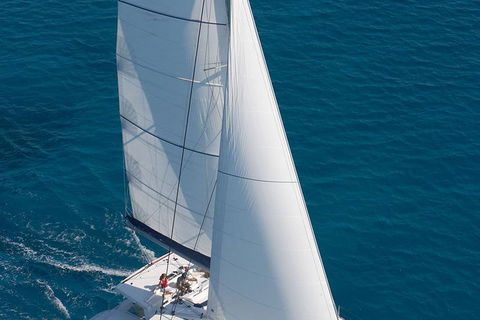 Afternoon Low Isles Snorkeling And Sailing Cruise From Port Douglas - Lightning Ridge Tourism 11