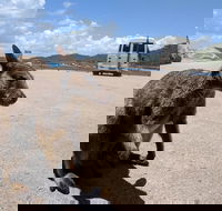 Magnetic Island Tour Maggie Comprehensive - Lightning Ridge Tourism