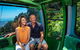 Kuranda Scenic Railway Day Trip From Palm Cove - thumb 7