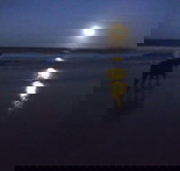 Full Moon Horse Ride at Rainbow Beach - Lightning Ridge Tourism