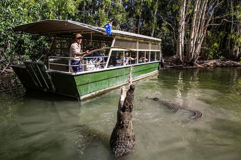 Hartley\'s Crocodile Adventures Day Trip From Palm Cove - Lightning Ridge Tourism 0
