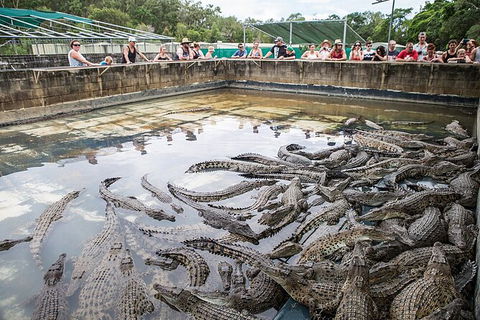 Hartley\'s Crocodile Adventures Day Trip From Palm Cove - Lightning Ridge Tourism 7