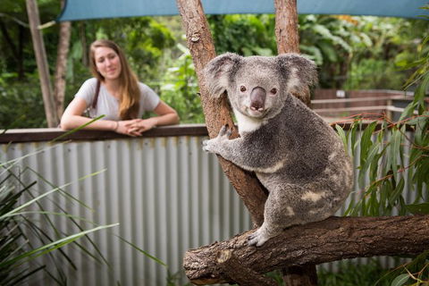 Hartley\'s Crocodile Adventures Day Trip From Palm Cove - Lightning Ridge Tourism 3