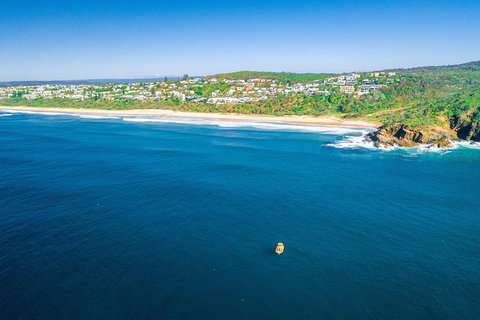 Noosa Oceanrider Scenic Dolphin Safari - Lightning Ridge Tourism 5