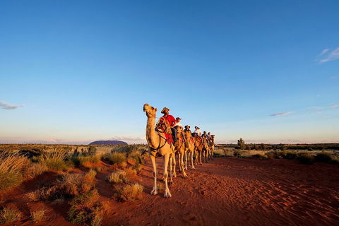 Uluru Small-Group Tour By Camel At Sunrise Or Sunset - Lightning Ridge Tourism 0