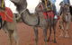 Uluru Small-Group Tour By Camel At Sunrise Or Sunset - thumb 2