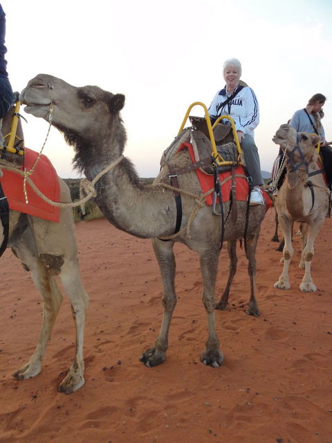 Uluru Small-Group Tour By Camel At Sunrise Or Sunset - Lightning Ridge Tourism 2