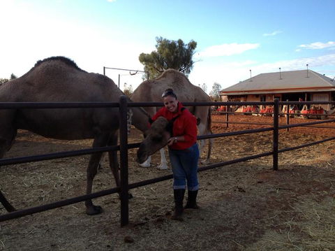 Uluru Small-Group Tour By Camel At Sunrise Or Sunset - Lightning Ridge Tourism 21