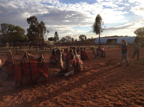 Uluru Small-Group Tour By Camel At Sunrise Or Sunset - Lightning Ridge Tourism 23
