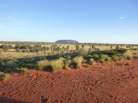 Uluru Small-Group Tour By Camel At Sunrise Or Sunset - Lightning Ridge Tourism 9