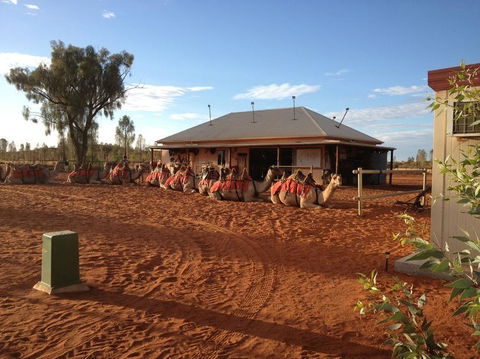 Uluru Small-Group Tour By Camel At Sunrise Or Sunset - Lightning Ridge Tourism 19
