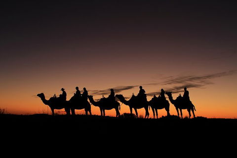 Uluru Small-Group Tour By Camel At Sunrise Or Sunset - Lightning Ridge Tourism 27