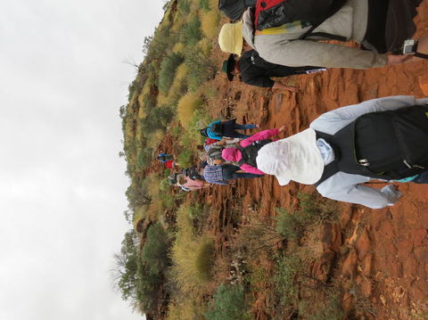Kings Canyon Day Trip From Ayers Rock - Lightning Ridge Tourism 14