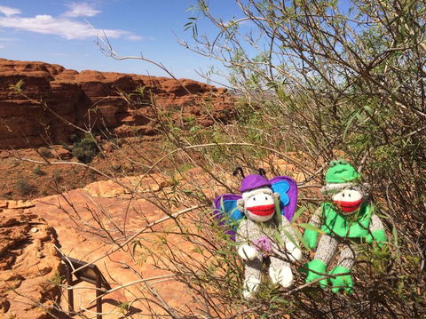 Kings Canyon Day Trip From Ayers Rock - Lightning Ridge Tourism 23