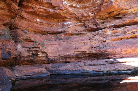 Kings Canyon Day Trip From Ayers Rock - Lightning Ridge Tourism 16