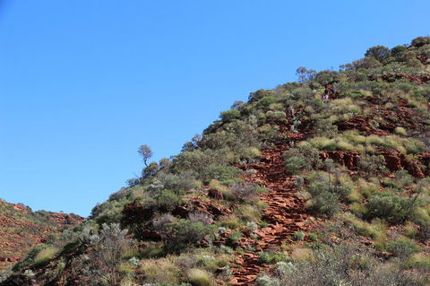Kings Canyon Day Trip From Ayers Rock - Lightning Ridge Tourism 21