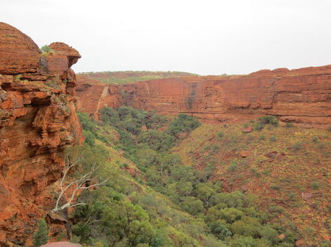 Kings Canyon Day Trip From Ayers Rock - Lightning Ridge Tourism 13