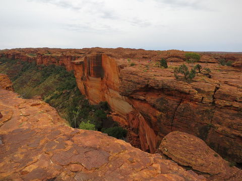 Kings Canyon Day Trip From Ayers Rock - Lightning Ridge Tourism 10