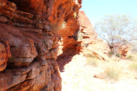 Kings Canyon Day Trip From Ayers Rock - Lightning Ridge Tourism 20