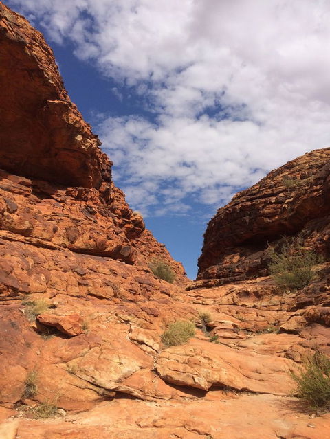 Kings Canyon Day Trip From Ayers Rock - Lightning Ridge Tourism 25