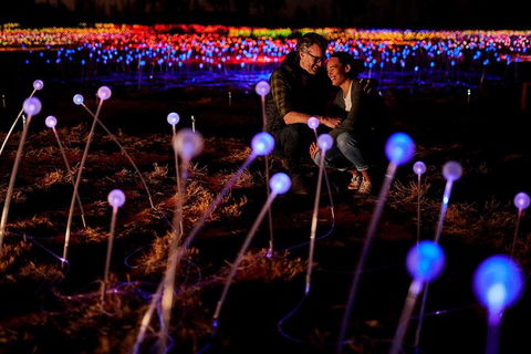 Uluru Field Of Light Sunrise Tour - Lightning Ridge Tourism 6