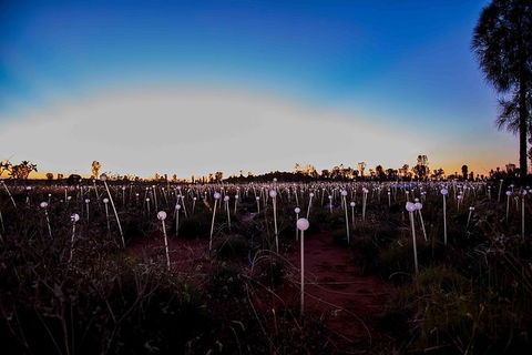 Uluru Field Of Light Sunrise Tour - Lightning Ridge Tourism 8