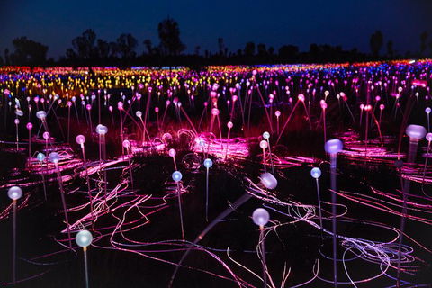 Uluru Field Of Light Sunrise Tour - Lightning Ridge Tourism 13