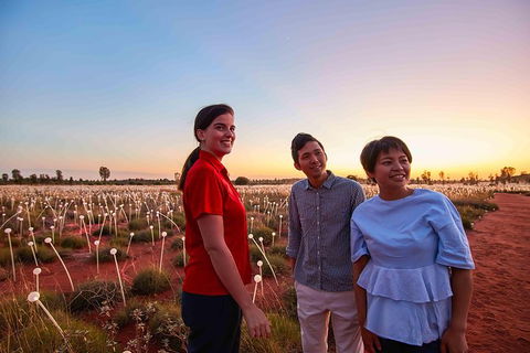Uluru Field Of Light Sunrise Tour - Lightning Ridge Tourism 11