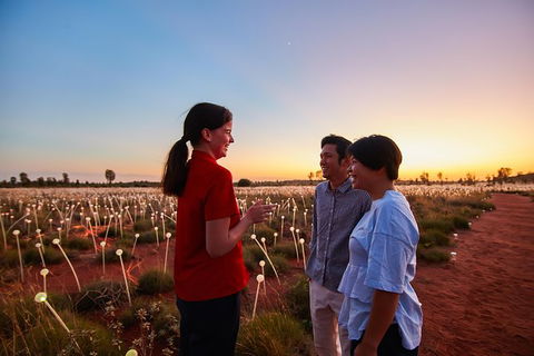 Uluru Field Of Light Sunrise Tour - Lightning Ridge Tourism 9