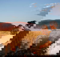 Uluru Ayers Rock Sunset with Outback Barbecue Dinner and Star Tour - Lightning Ridge Tourism