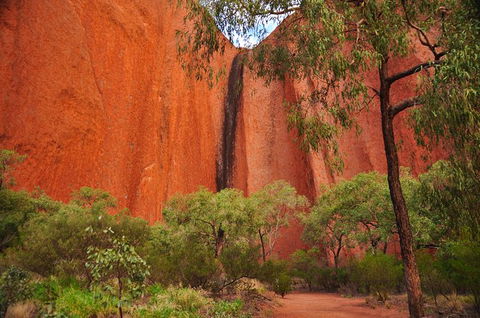 Uluru Sunrise And Guided Base Walk - Lightning Ridge Tourism 14