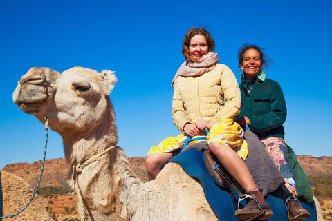 Alice Springs Camel Tour - Lightning Ridge Tourism 8