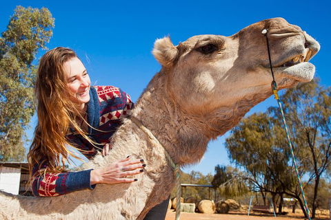 Alice Springs Camel Tour - Lightning Ridge Tourism 6