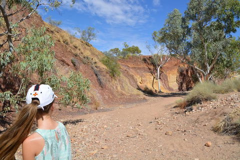 West MacDonnell Ranges Small-Group Full-Day Guided Tour - Lightning Ridge Tourism 2