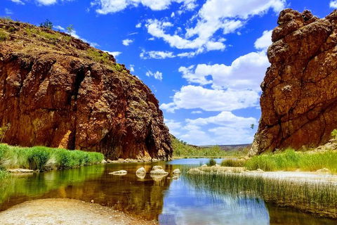 West MacDonnell Ranges Small-Group Full-Day Guided Tour - Lightning Ridge Tourism 8